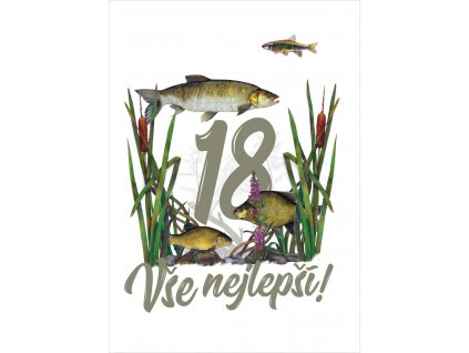 a5 dnorybnika18