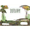 diplom stiky nasirku
