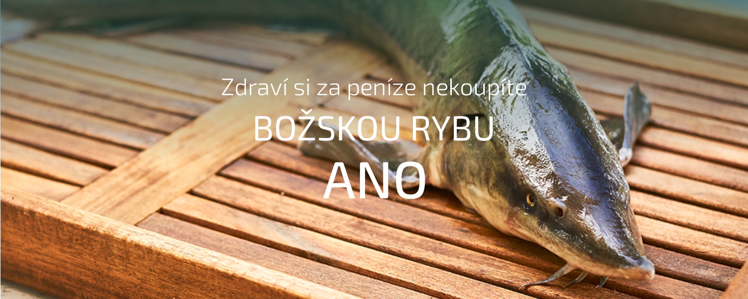 božská ryba