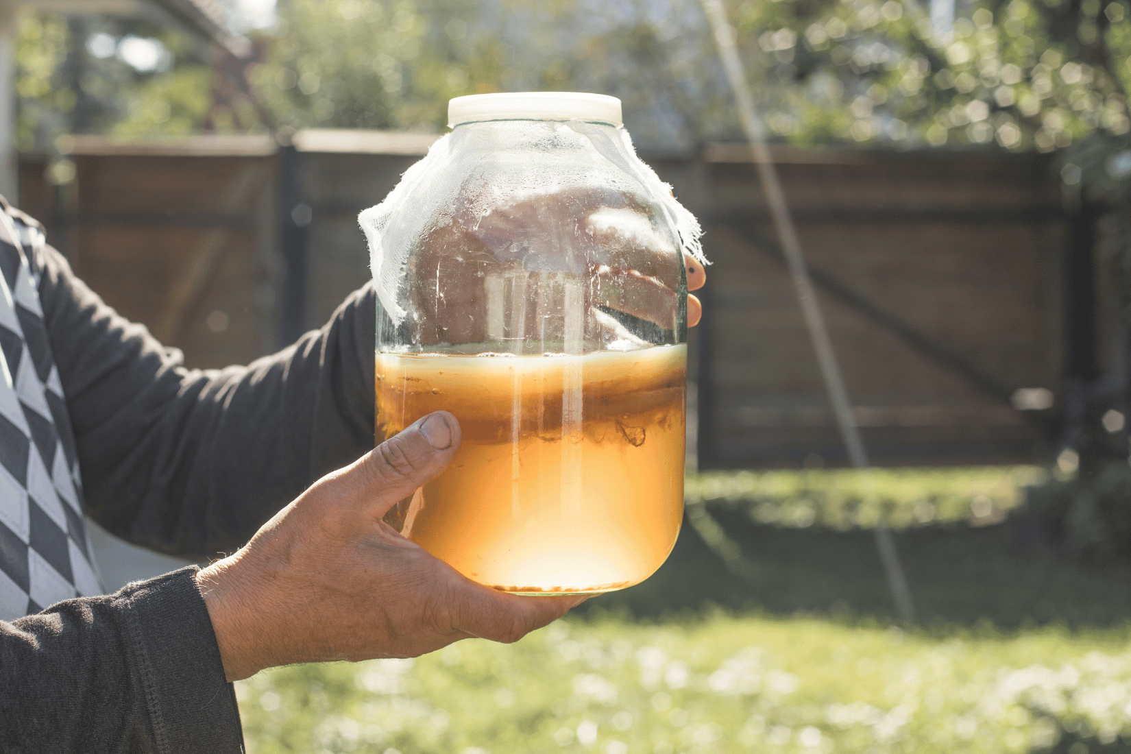 Neuvěříte, co všechno dokáže kombucha. A zvládnete ji doma za pár korun