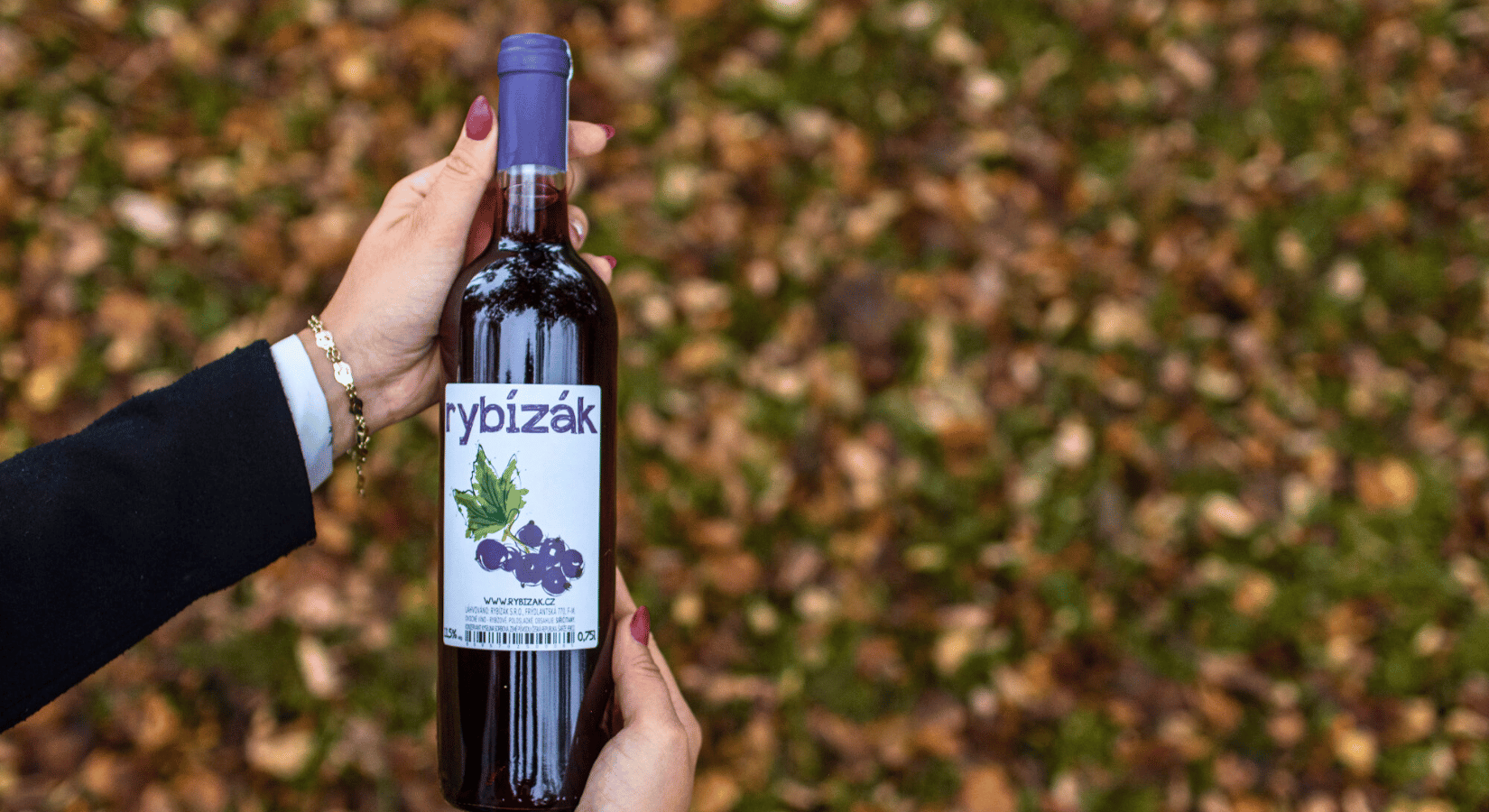Recept na domácí rybízové víno snadno a bez zbytečné vědy