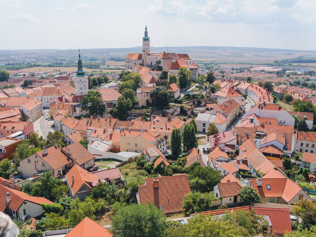 Vinařské oblasti ČR: Objevte ty nejlepší regiony pro sklenku poctivého vína