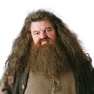 Hagrid