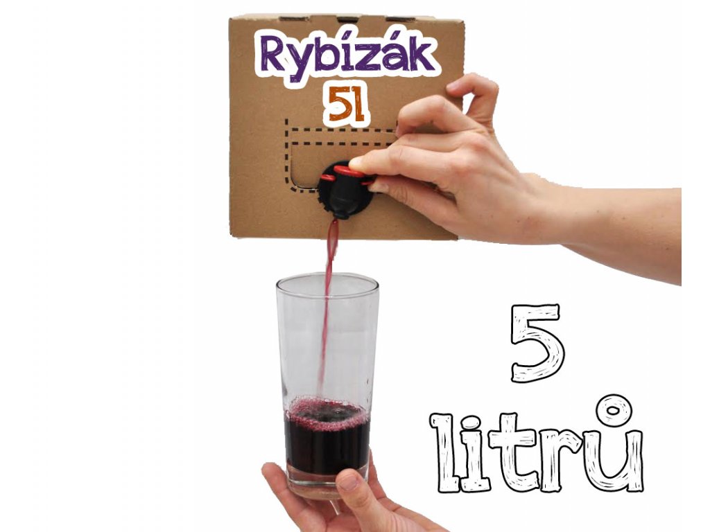 Bedna plná Rybízáku 5l Bag in box 5l