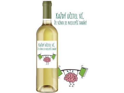 Každý učitel ví, že víno je nejlepší tahák  z květů černého bezu 11,5% alk.