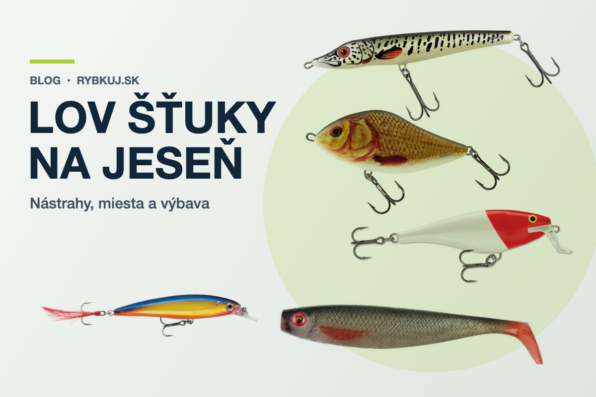 Lov šťuky na jeseň: kde ju hľadať a na čo ju chytiť