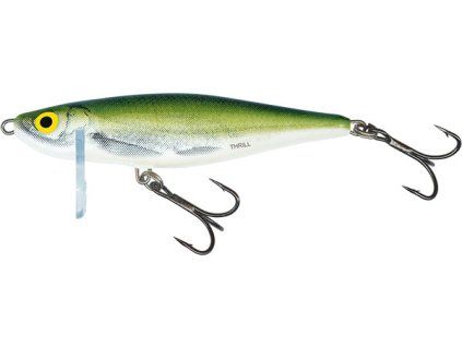 Salmo – Thrill 7 – Sinking – Olive Bleak