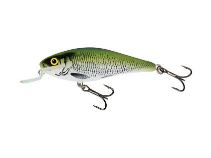 Salmo – Executor 9 SR – Floating – Olive Bleak