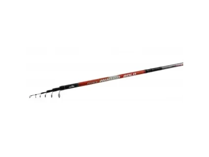 Nevis – Force Nuovo Bolo – 5,00 m 3