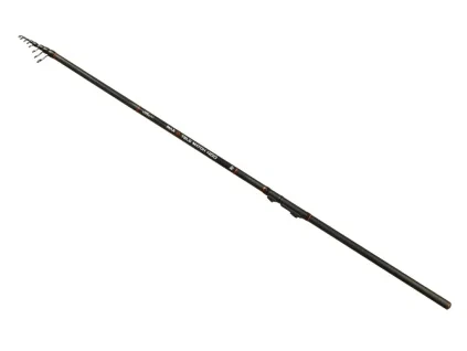 Carp Expert – MAX2 Telematch – 4,00 m – 5-25 g