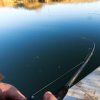 Nevis – Barbel River Feeder 7