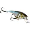 p045 babybite sr crankbait headlinex1
