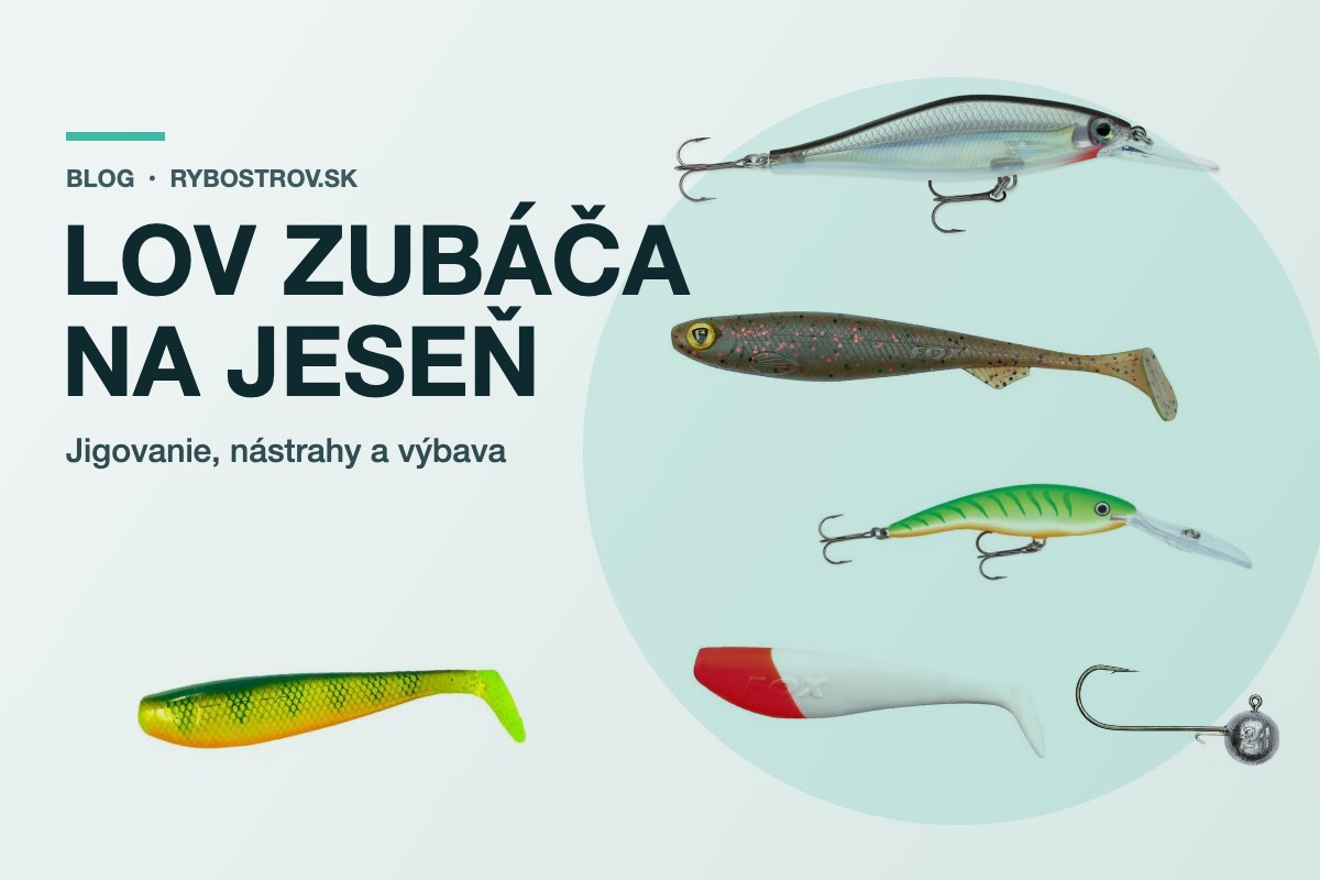 Lov zubáča na jeseň: kde ho hľadať, jigovanie a výbava
