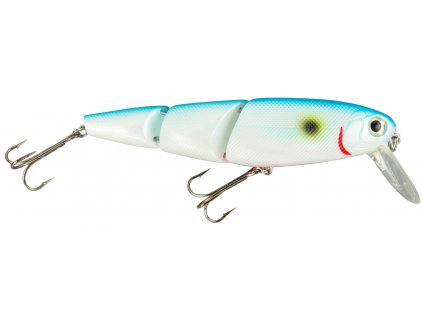 %2fmedia%2f3650%2fPowerCatcher Plus RT Snake Cloudy Sky