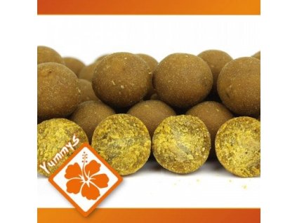 IB Carptrack Boilies Osmotic Oriental Spice (Hmotnost 300g, Průměr 24mm, Příchuť Osmotic Oriental Spice)