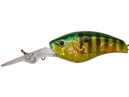 19754 slattern 65 f fire gold perch