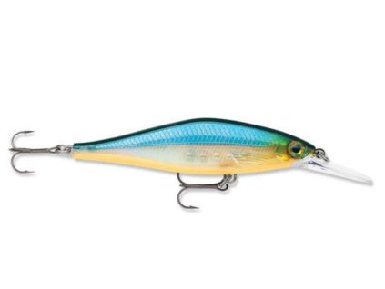 E847D19B E59B 410F BD75 63FD9E1D74A6 SDRSD BGH