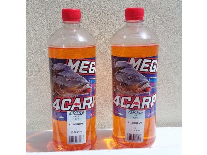stažený soubor