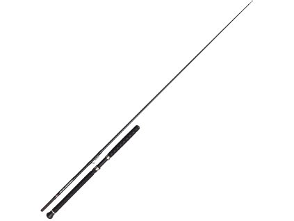prut penn prevail iii le boat inline rod 4341758[1]