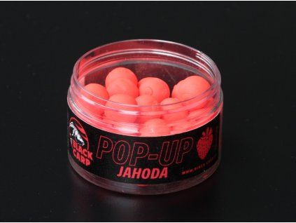 Black Carp Pop-Up Jahoda