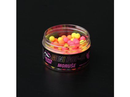 Black Carp Mini Pop-Up Moruše 8mm/30g