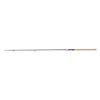 zebco prut ambition feeder 3 m 60 g 2 dil[1]