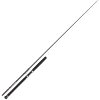 prut penn prevail iii le boat inline rod 4341758[1]