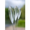 zebco sbirolino magic sbiro slow sinking clear[1]