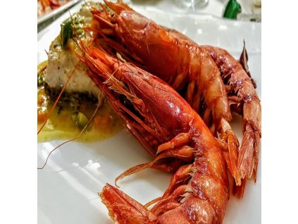 shrimp 2885050 960 720