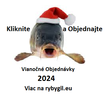 Vianočné objednávky 2023