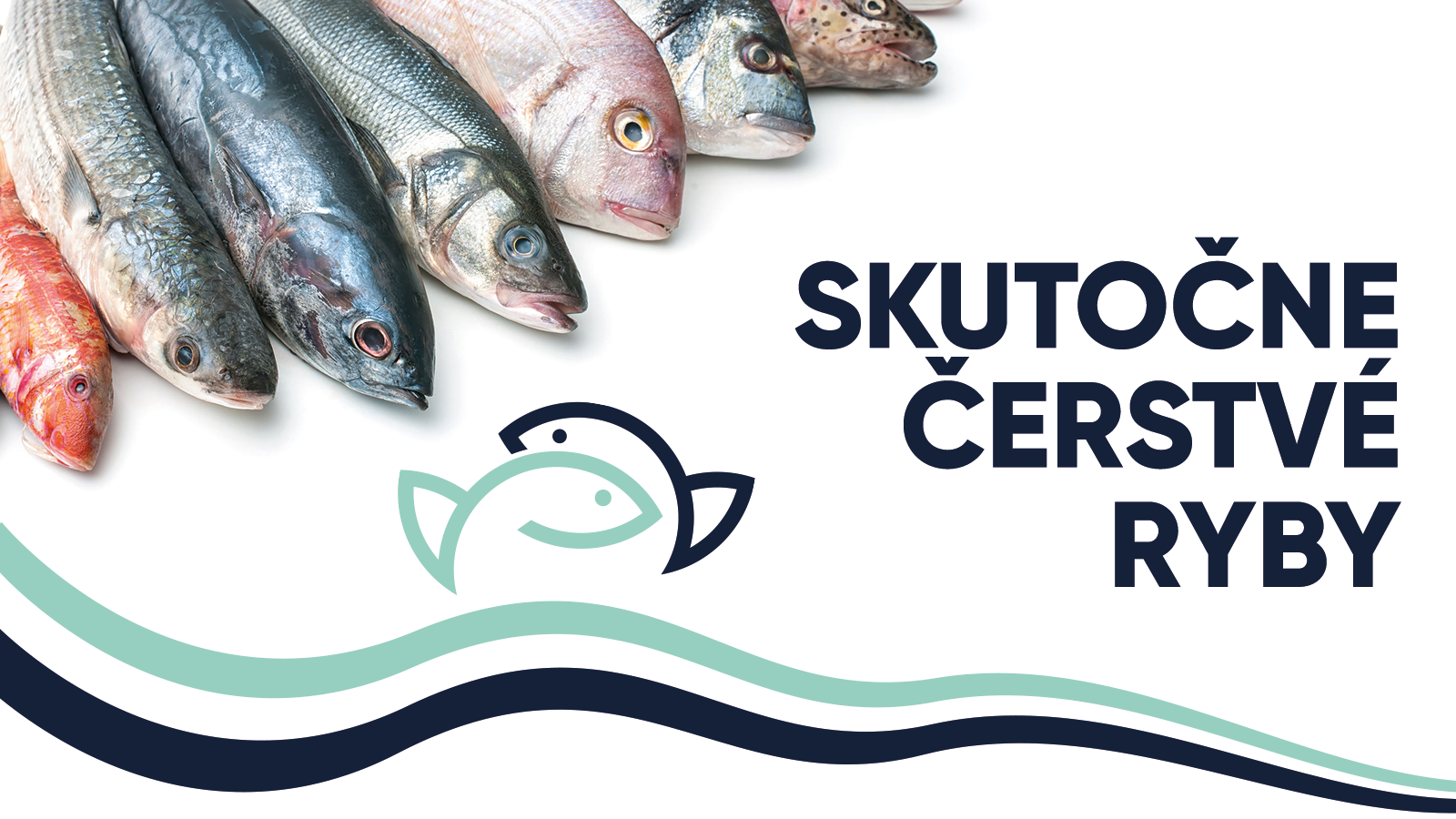 Morské ryby |najväčší výber rýb na SK| rybyspeciality.sk -  RYBYSPECIALITY.SK - Čerstvé ryby a morské plody