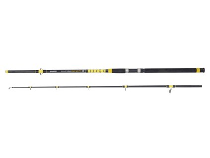 MIVARDI   Fanatic Catfish 2,4 m 200 - 400 g