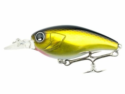 Shimano Bantam Kozak MR 54mm 8g T05 Black Gold