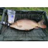 Methodmix Competition Carp XXL 800g