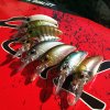 DUO Realis Crank M65 11A