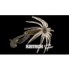 Keitech Little Spider 2" 5,1cm (8ks)