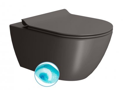 GSI PURA závěsná WC mísa, Swirlflush, 55x36 cm, bistro dual-mat 881516