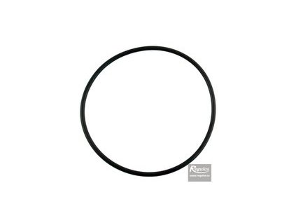 Regulus O kroužek 98x3,53 pro víčko s filtrem - pro DOS25 1902