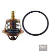 Regulus Termočlen k ventilu TSV 3 a 5 - 72 °C 16098