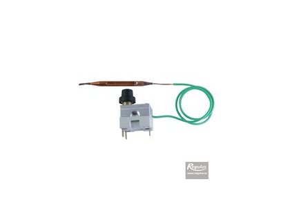 Regulus Termostat hav. 99 °C, kapilára 0,55 m, přepínací 10743