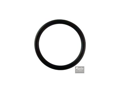 Regulus O kroužek pro kulový kohout 1" F s filtrem 17873