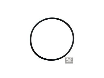 Regulus O kroužek pro kulový kohout 2" F s filtrem 17882