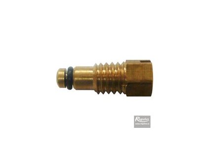 Regulus Šroub M6 pro kontrolní ventilek pojistné sady ohřívačů 19418