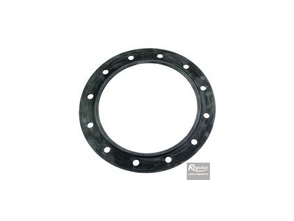 Regulus Těsnění příruby nádrže PS2F, PSWF 6732