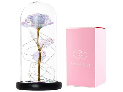 236339 apt svitici ruze ve sklenene doze