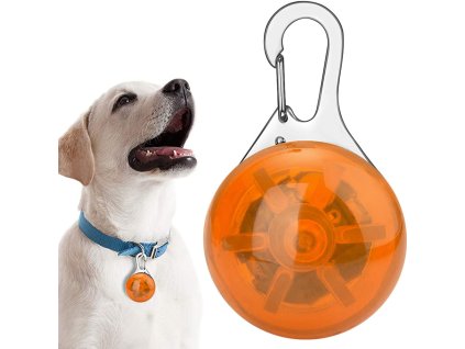 245939 led svetlo na obojek pro psy a kocky oranzova