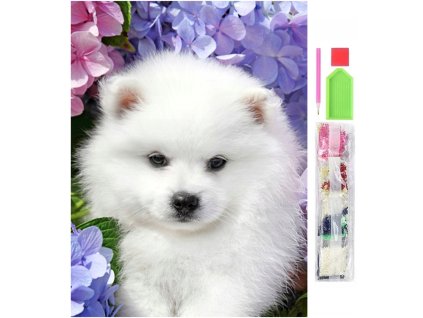 246953 diamantove malovani spic 5d 30x40cm