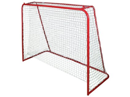 254482 2 700 sa branka na florbal varianta 20135