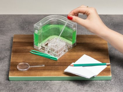 eng pl Ant maze DELUXE LED GREEN 1954 1