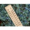 150412 3 verk 07183 teplomer venkovni 21 cm dreveny